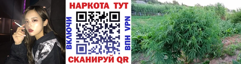Купить закладку Бирюсинск МДМА Гашиш СОЛЬ Амфетамин