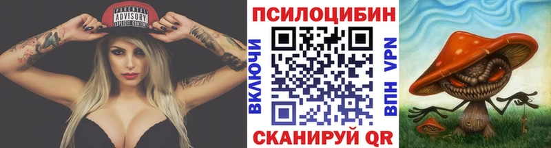 blacksprut как зайти  Бирюсинск  Псилоцибиновые грибы прущие грибы  закладка 